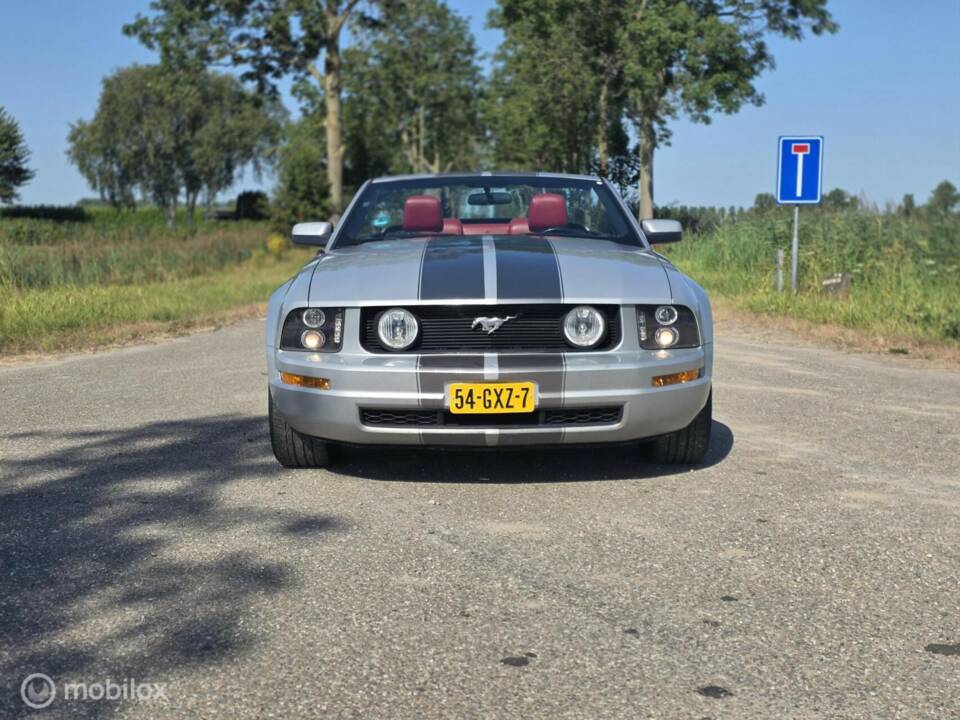 Bild 10/38 von Ford Mustang V6 (2006)