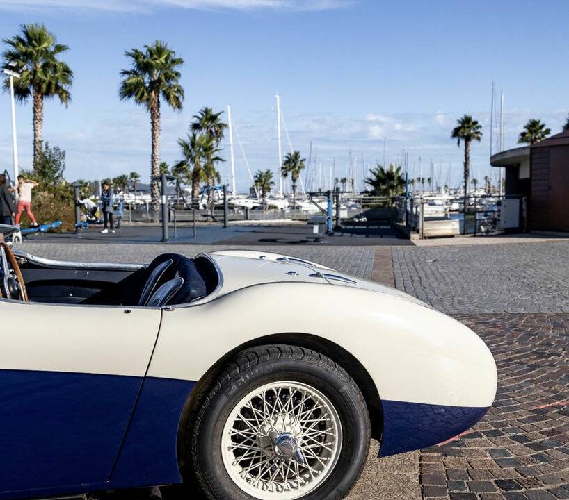 Immagine 8/8 di Austin-Healey 100&#x2F;4 (BN2) (1956)
