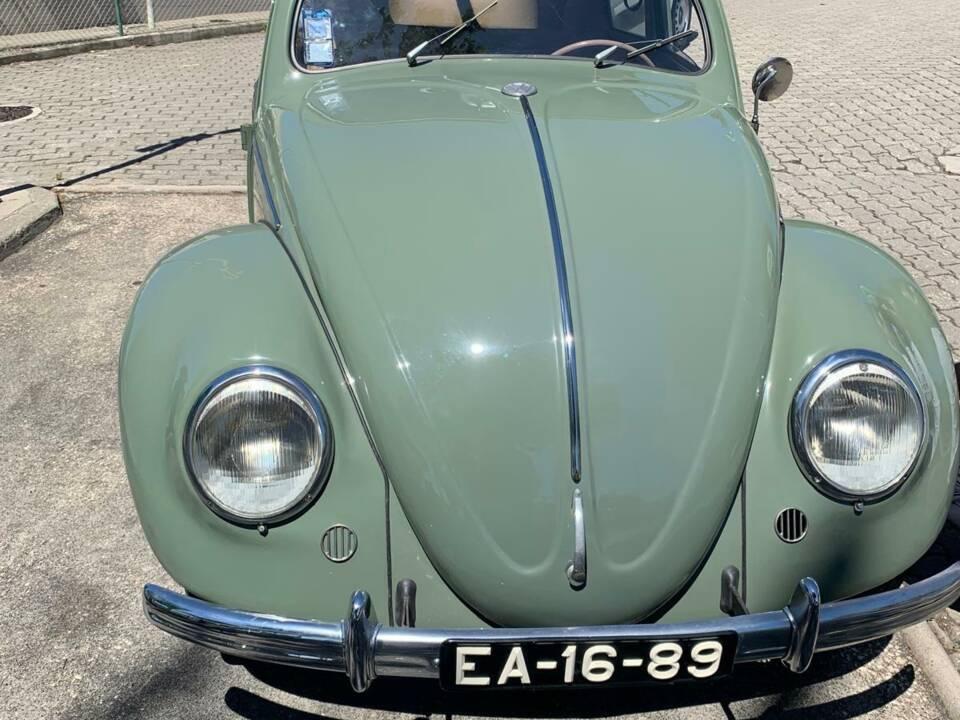 Bild 48/54 von Volkswagen Beetle 1100 Standard (Brezel) (1950)