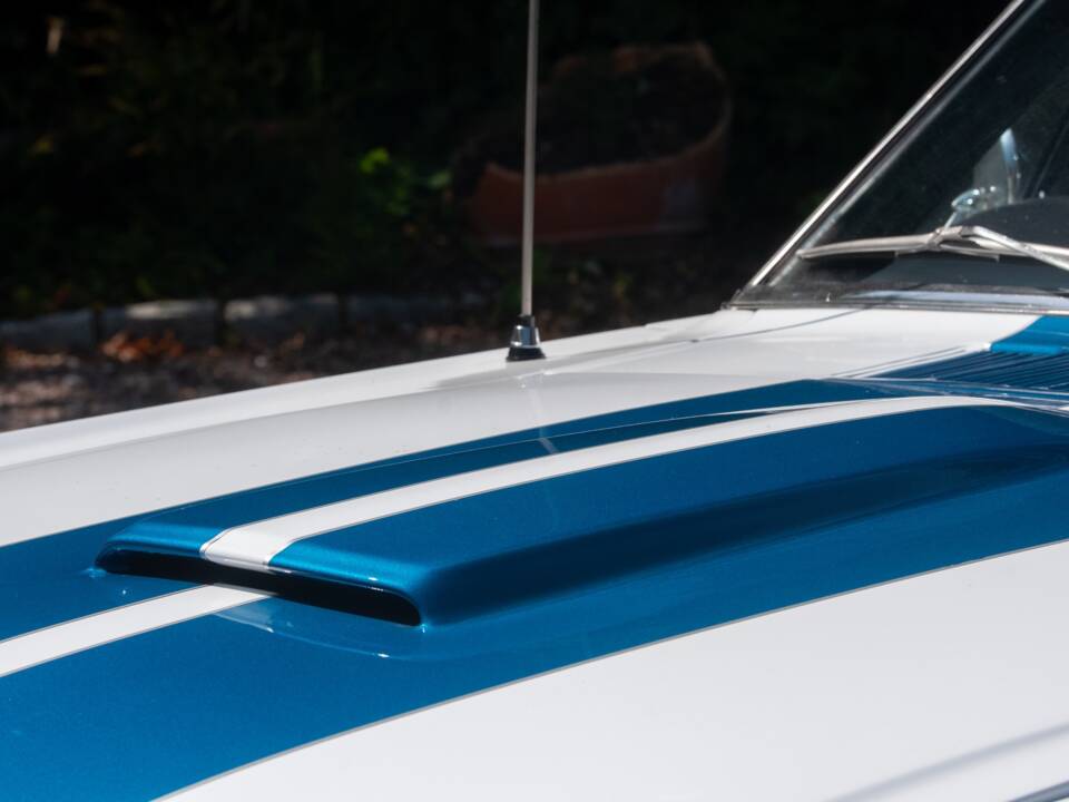 Image 16/54 of Ford Shelby GT 350 (1965)