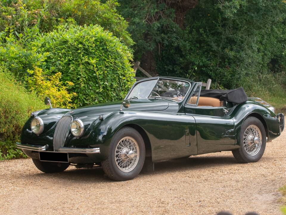 Bild 8/50 von Jaguar XK 120 DHC (1954)