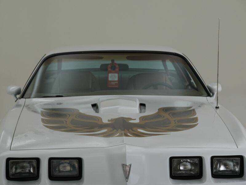 Bild 10/15 von Pontiac Firebird Turbo TransAm (1981)