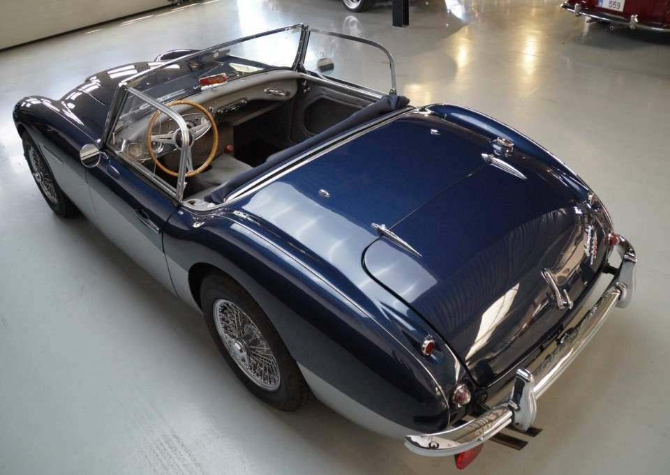 Imagen 48/50 de Austin-Healey 3000 Mk II (BN7) (1961)