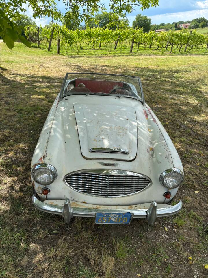 Bild 4/19 von Austin-Healey 3000 Mk I (BN7) (1960)