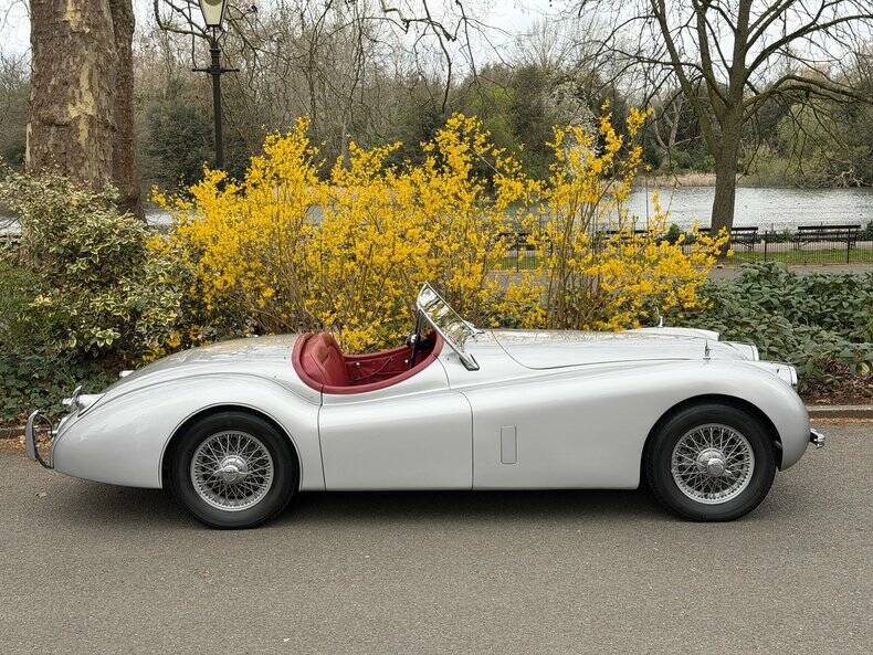 Image 27/50 of Jaguar XK 120 OTS (1953)