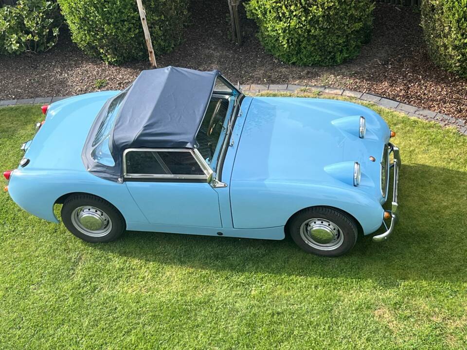 Image 8/8 de Austin-Healey Sprite Mk I (1960)
