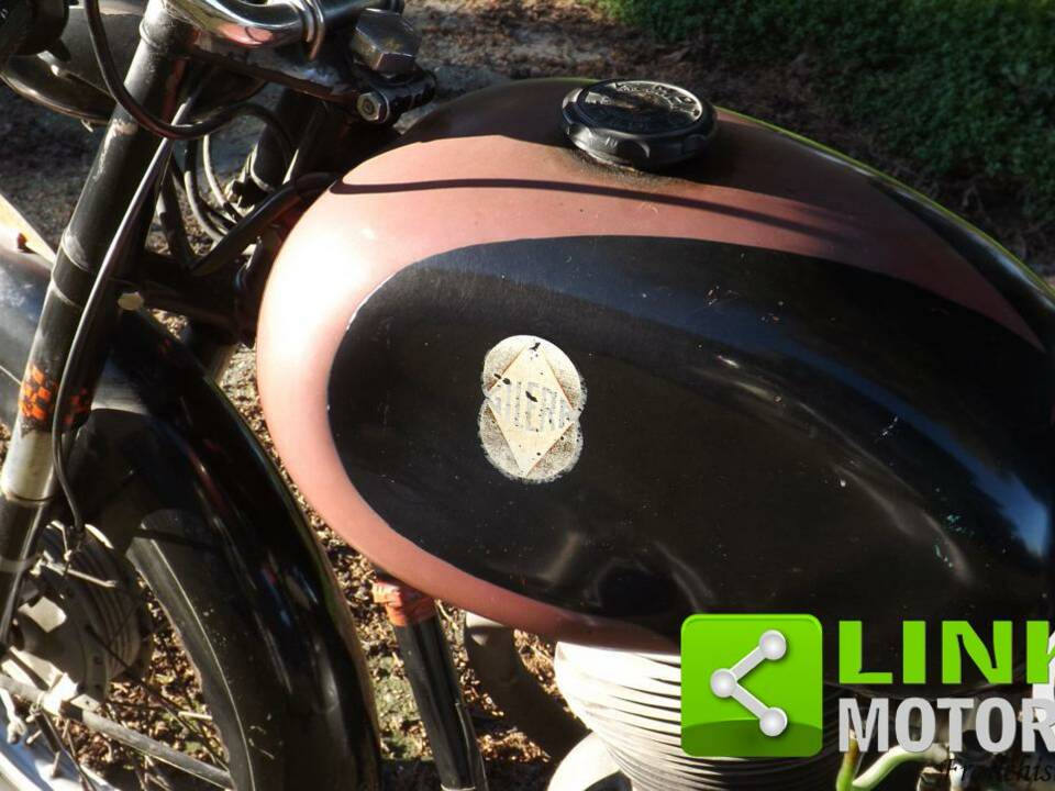 Bild 9/10 von Gilera DUMMY (1956)