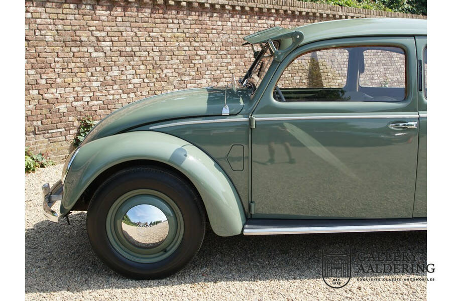 Image 36/50 of Volkswagen Beetle 1100 Standard (Brezel) (1951)