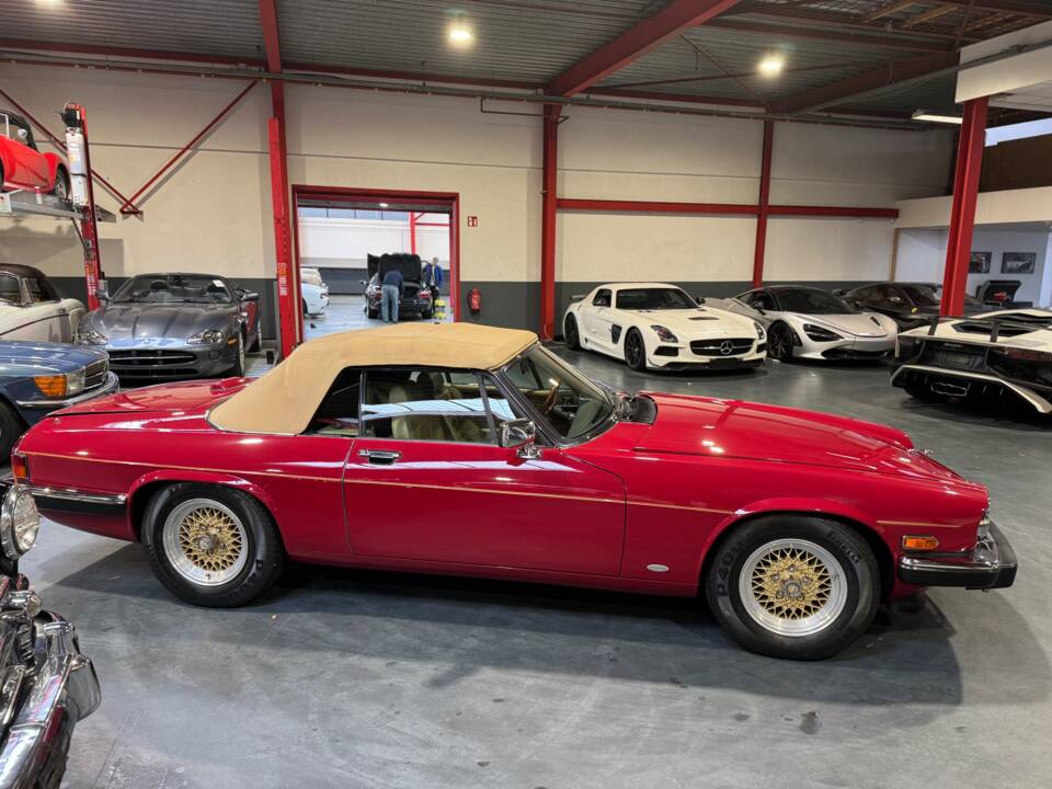 Bild 10/62 von Jaguar XJ-S Convertible (1988)