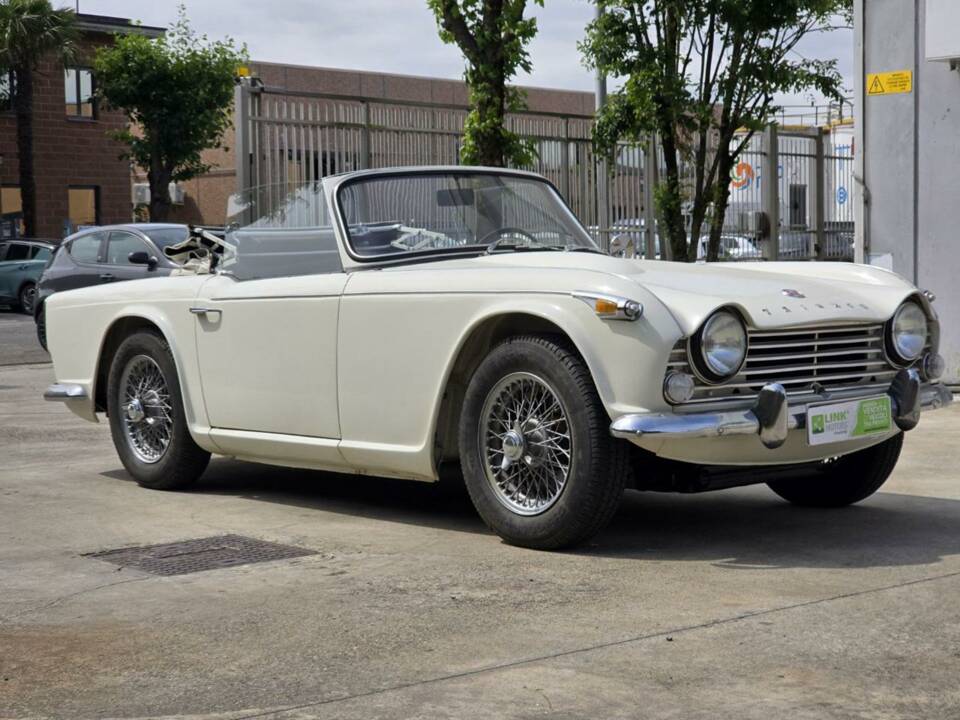 Imagen 38/46 de Triumph TR 4A (1965)
