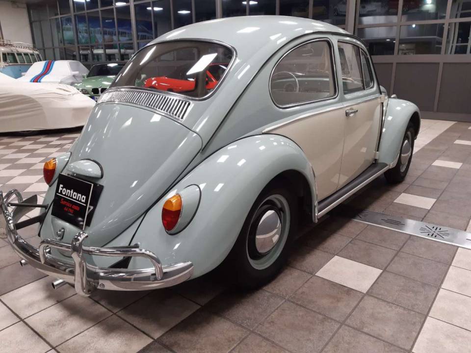 Bild 8/16 von Volkswagen Escarabajo 1200 A (1965)