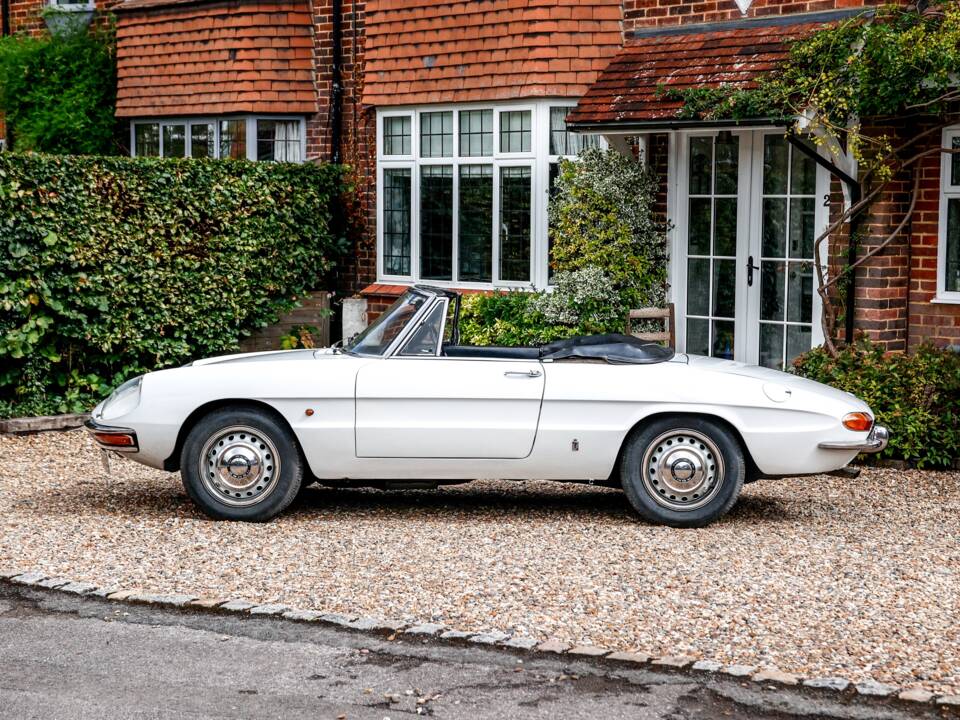 Immagine 3/35 di Alfa Romeo 1600 Spider Duetto (1967)