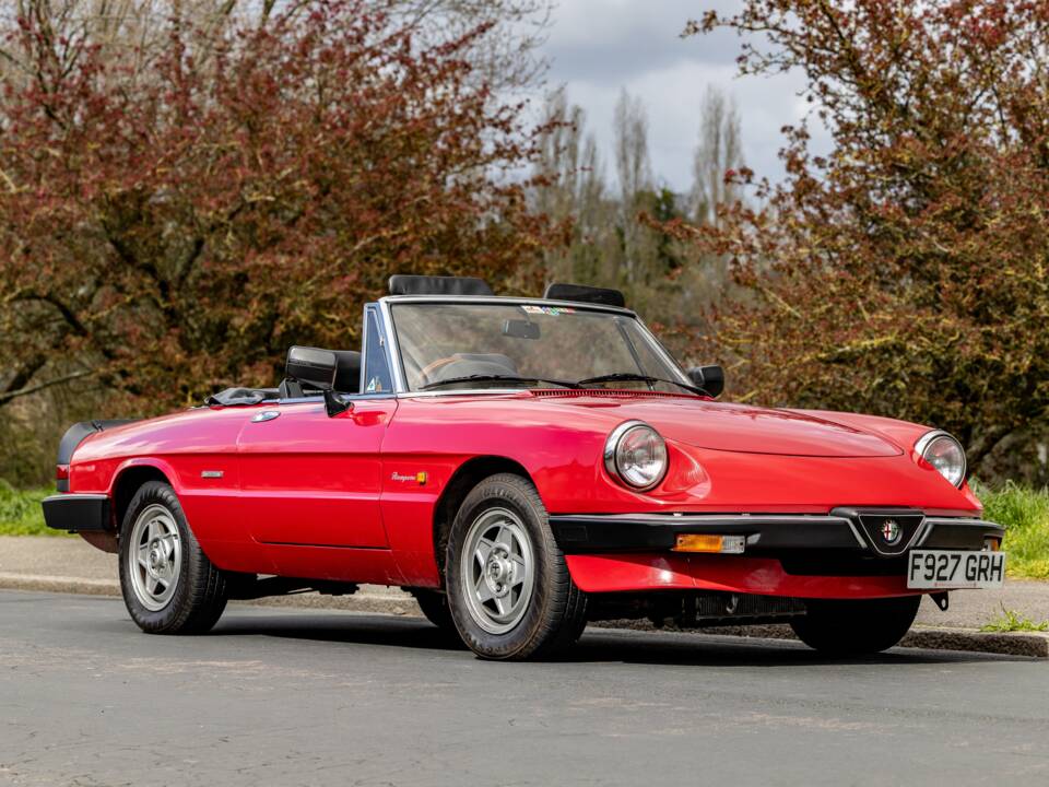 Afbeelding 49/50 van Alfa Romeo 2.0 Spider (1989)