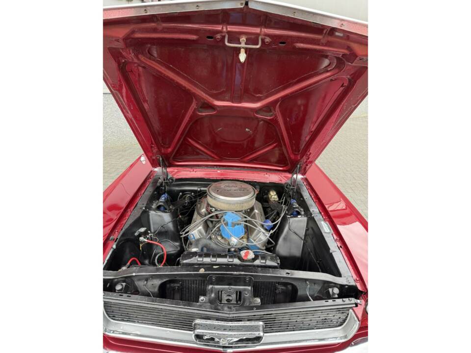 Bild 27/47 von Ford Shelby GT 350 (1966)