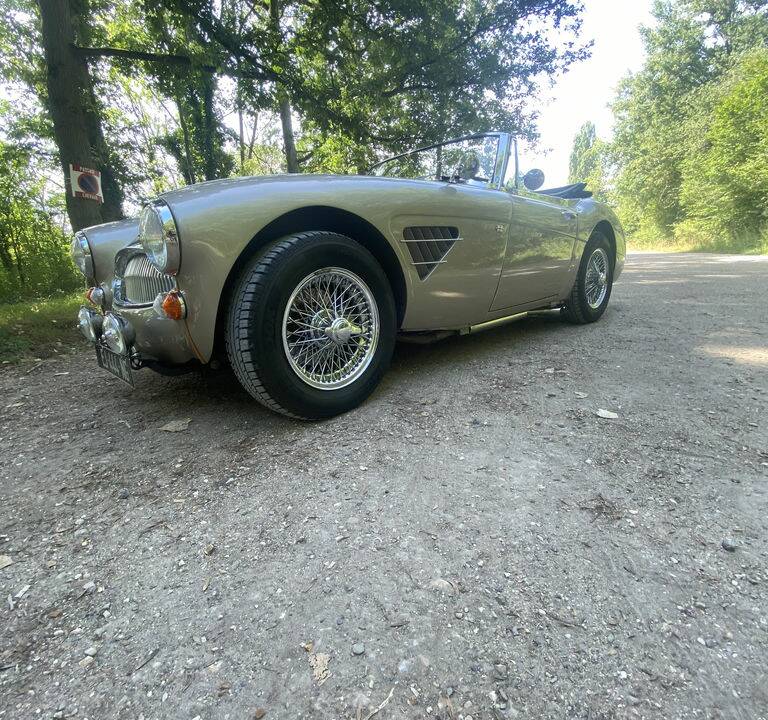 Bild 5/8 von Austin-Healey 3000 Mk III (BJ8) (1965)