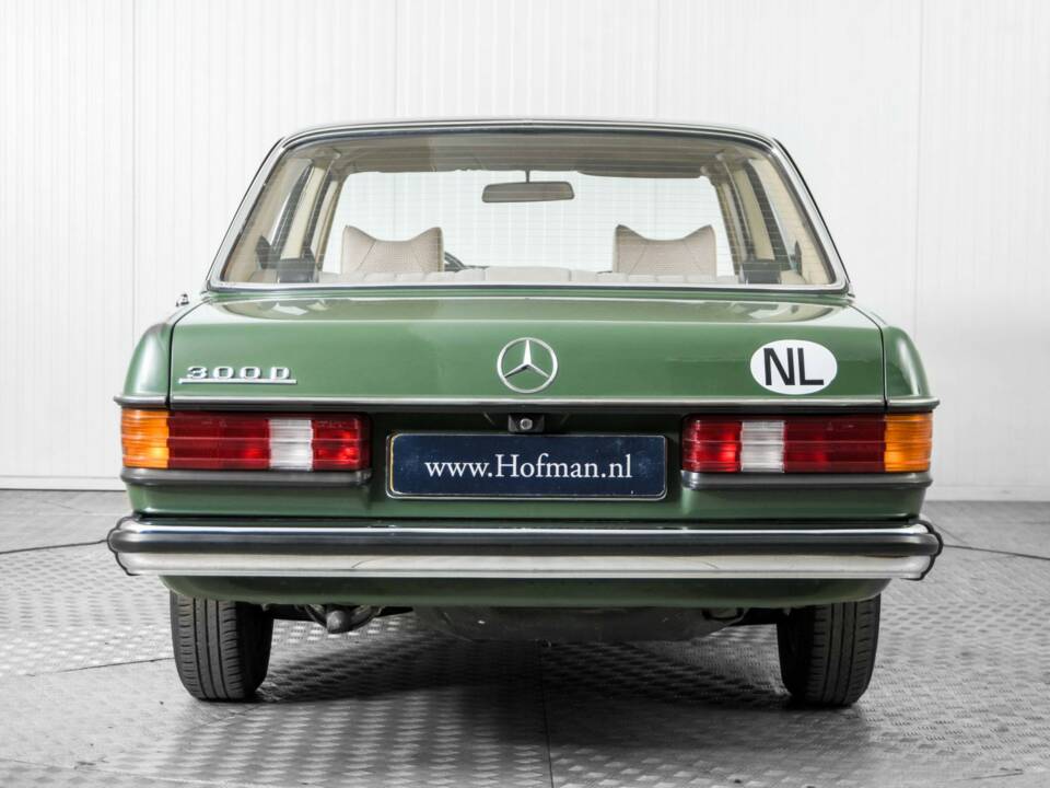 Afbeelding 13/50 van Mercedes-Benz 300 D (1978)