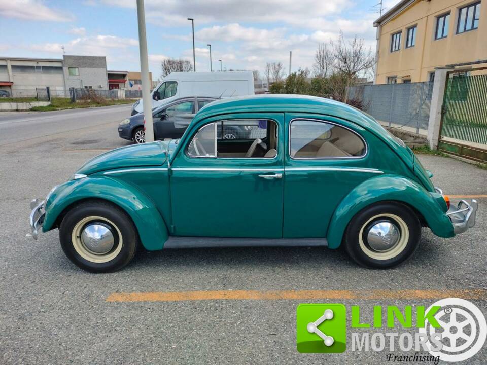Image 8/10 of Volkswagen Coccinelle 1200 A (1965)