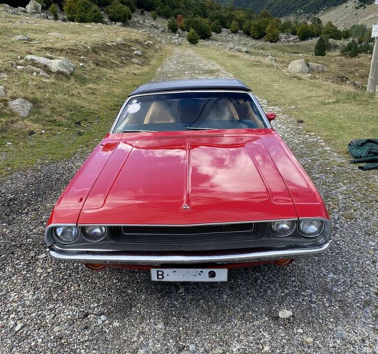 Immagine 6/8 di Dodge Challenger (1970)