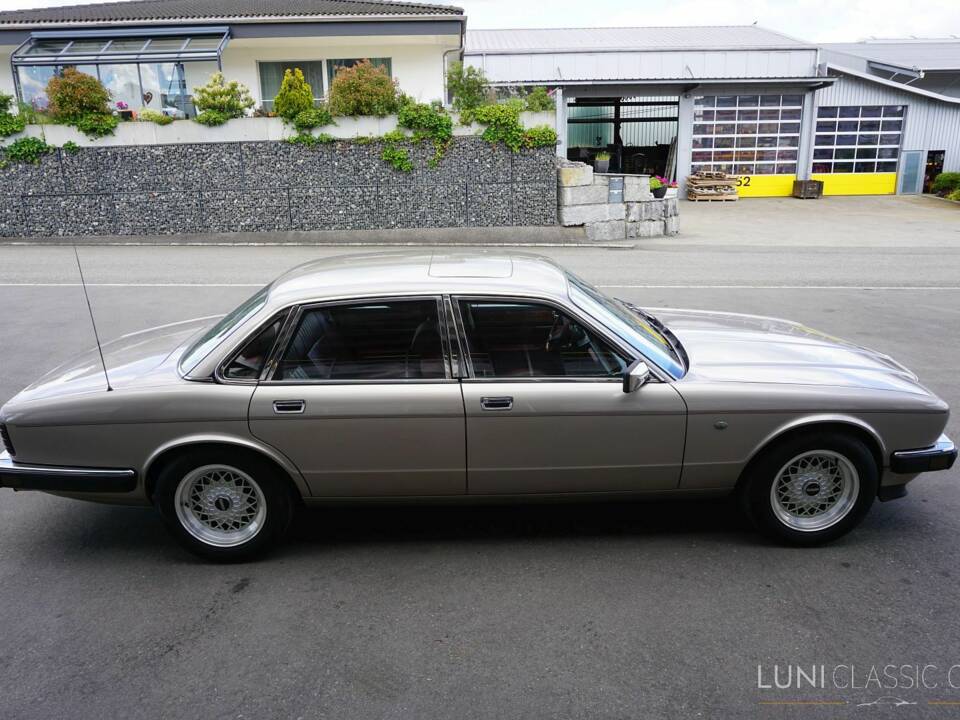 Image 10/61 de Jaguar Sovereign 3.6 (1987)