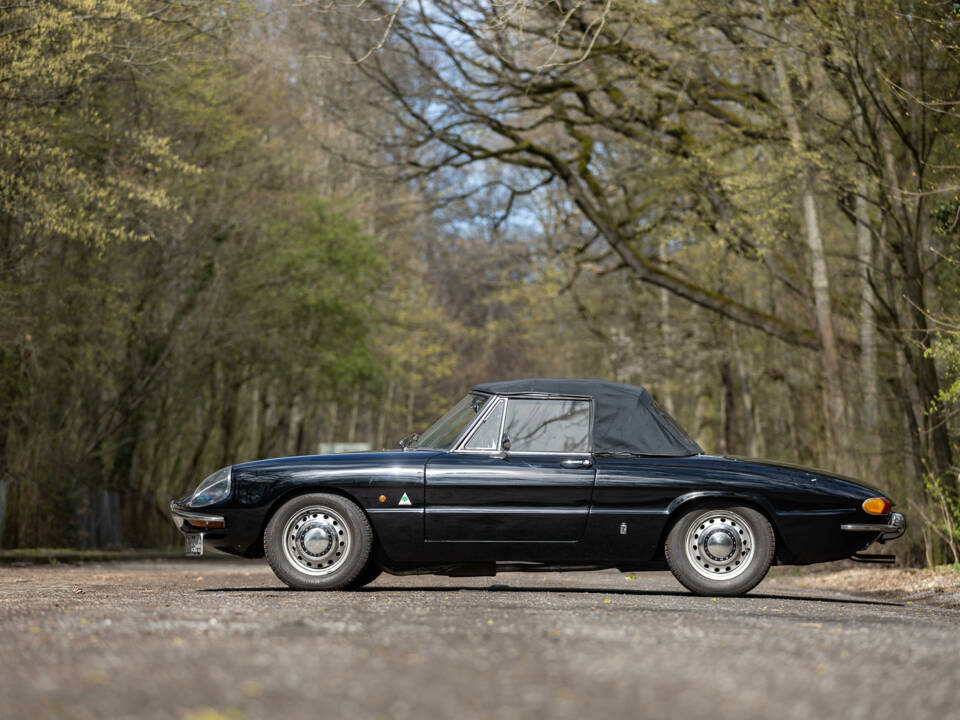 Image 6/59 of Alfa Romeo 1600 Spider Duetto (1966)