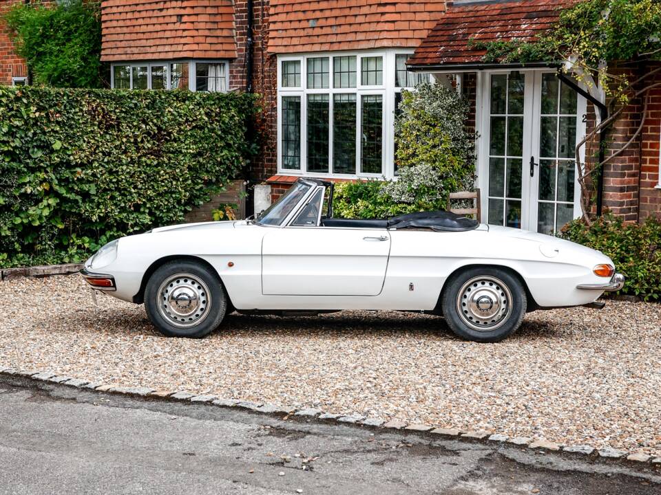 Immagine 22/35 di Alfa Romeo 1600 Spider Duetto (1967)