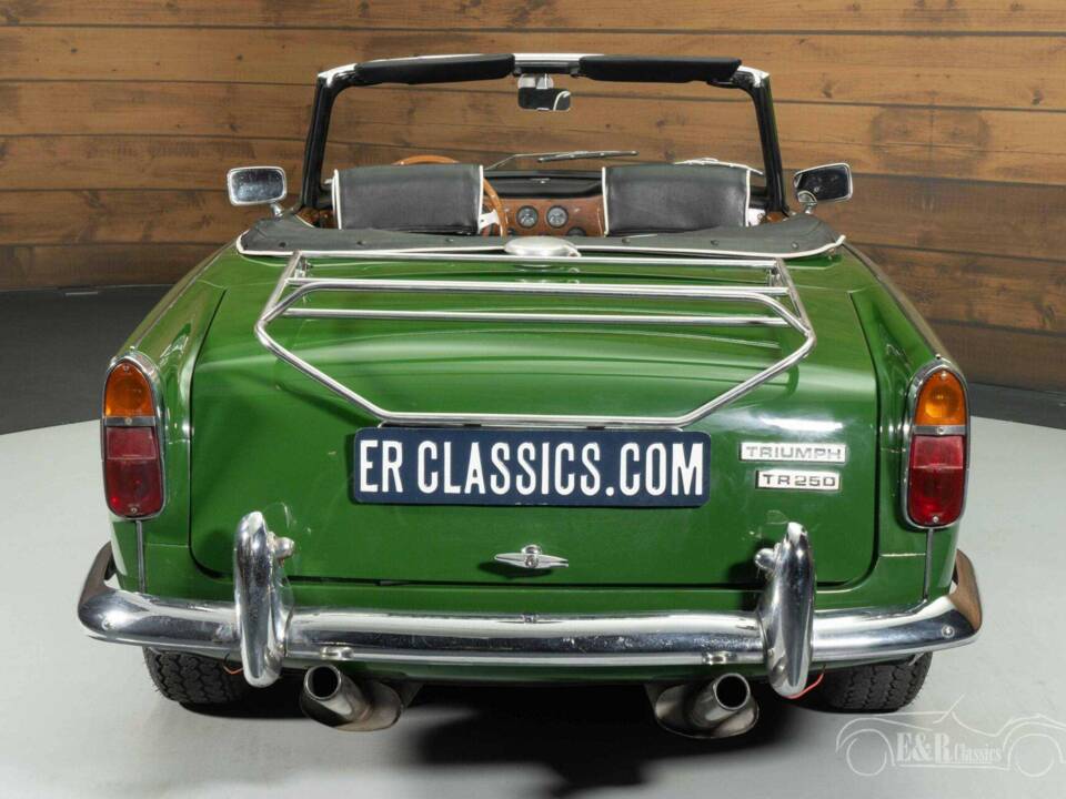 Immagine 15/19 di Triumph TR 250 (1967)