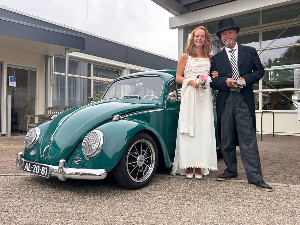 Bild 11/20 von Volkswagen Käfer 1200 Standard "Dickholmer" (1964)