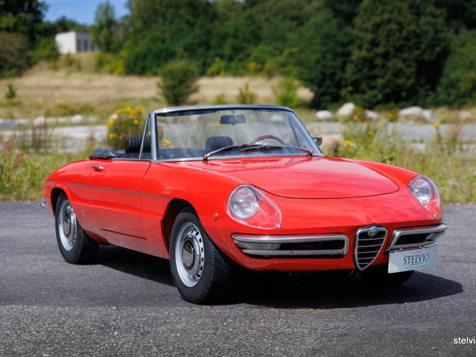 Image 5/44 of Alfa Romeo 1750 Spider Veloce (1969)