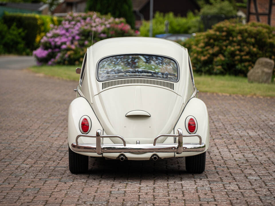 Bild 16/57 von Volkswagen Käfer 1200 (1965)