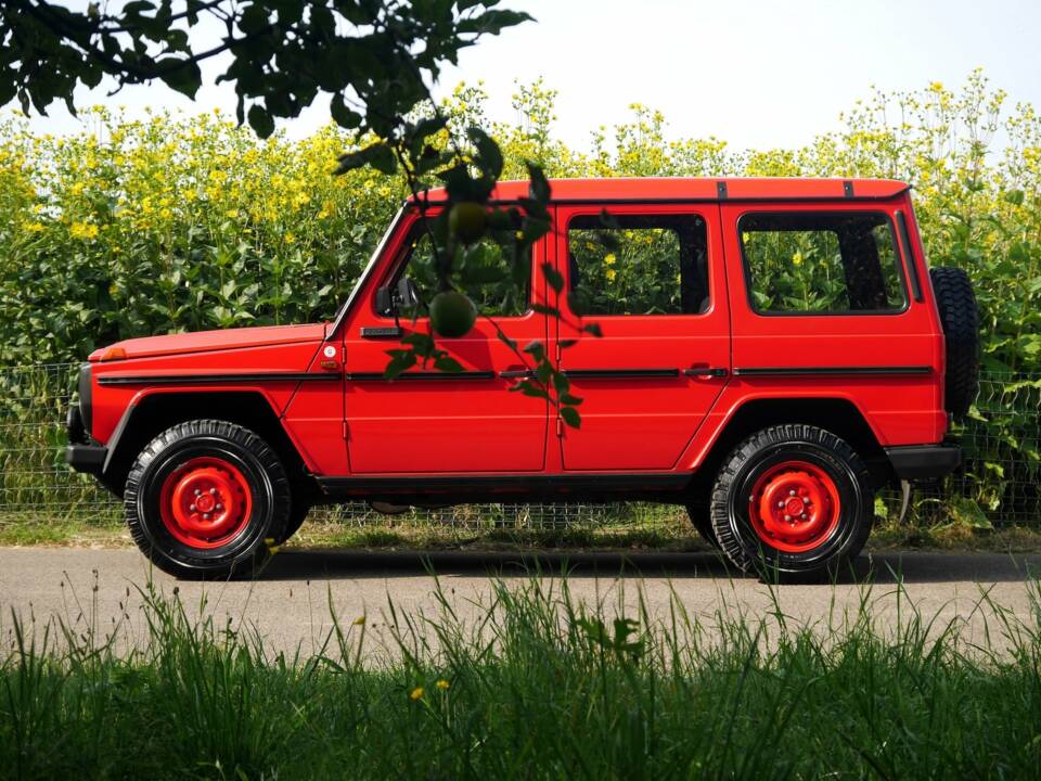 Immagine 12/30 di Steyr-Puch 280 GE (lang) (1985)