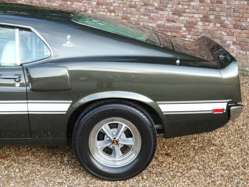 Image 46/50 of Ford Shelby GT 500 (1969)