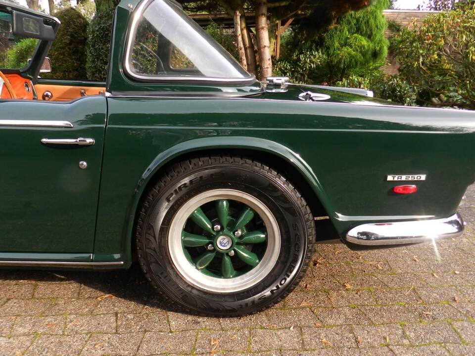 Bild 37/66 von Triumph TR 250 (1968)