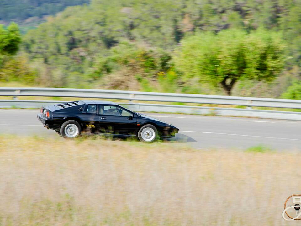 Immagine 16/16 di Lotus Esprit Turbo (1987)