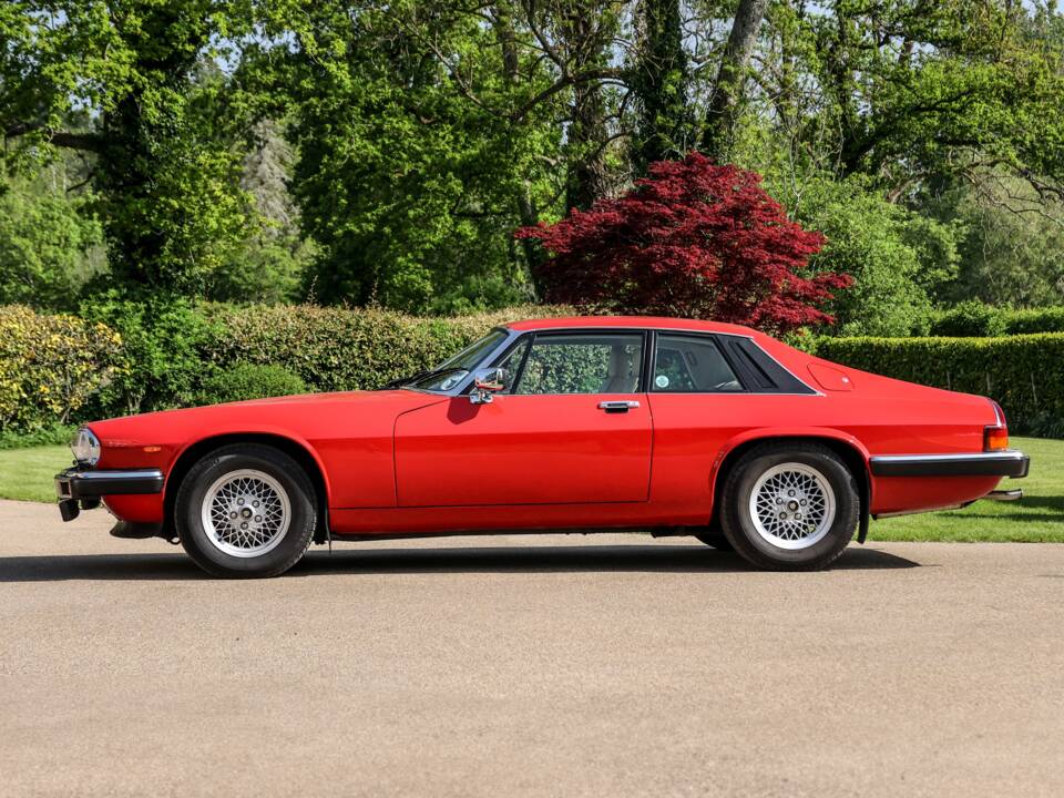 Afbeelding 2/43 van Jaguar XJS V12 Lister (1988)