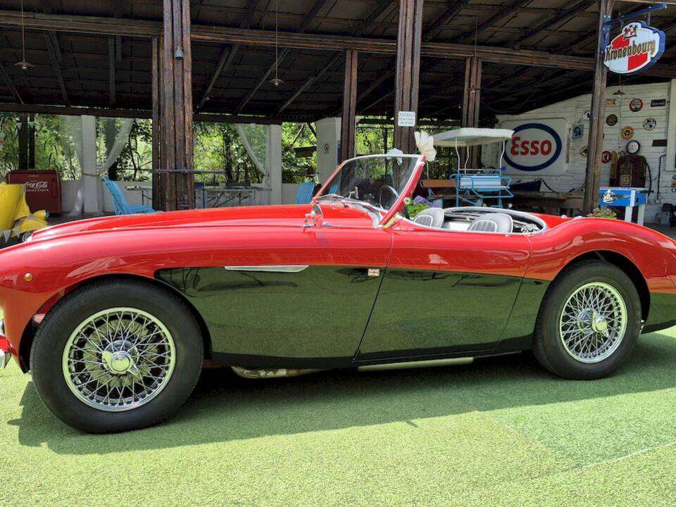 Bild 4/62 von Austin-Healey 100&#x2F;4 (BN1) (1954)