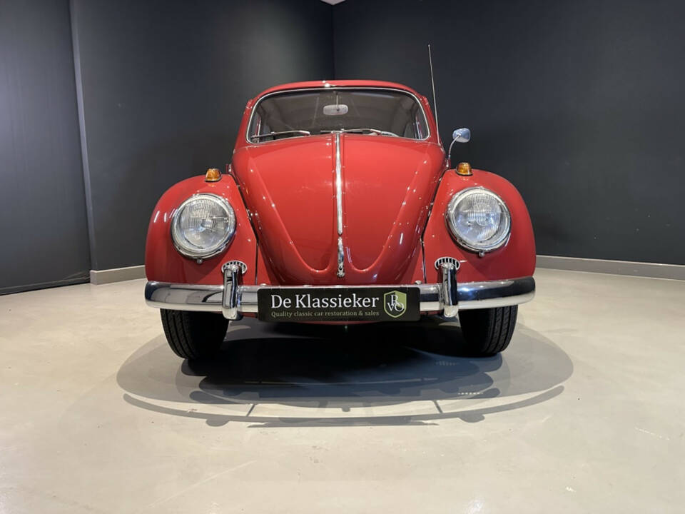 Bild 2/20 von Volkswagen Beetle 1200 Standard &quot;Dickholmer&quot; (1963)