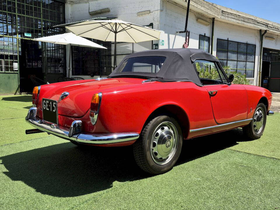 Image 61/71 of Alfa Romeo Giulietta Spider (1961)