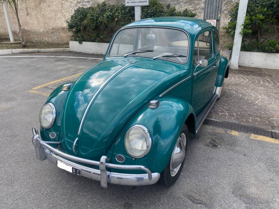 Bild 3/32 von Volkswagen Beetle 1200 (1965)