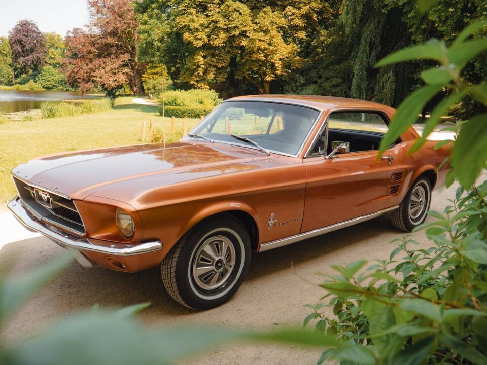 Image 75/81 of Ford Mustang 289 (1967)