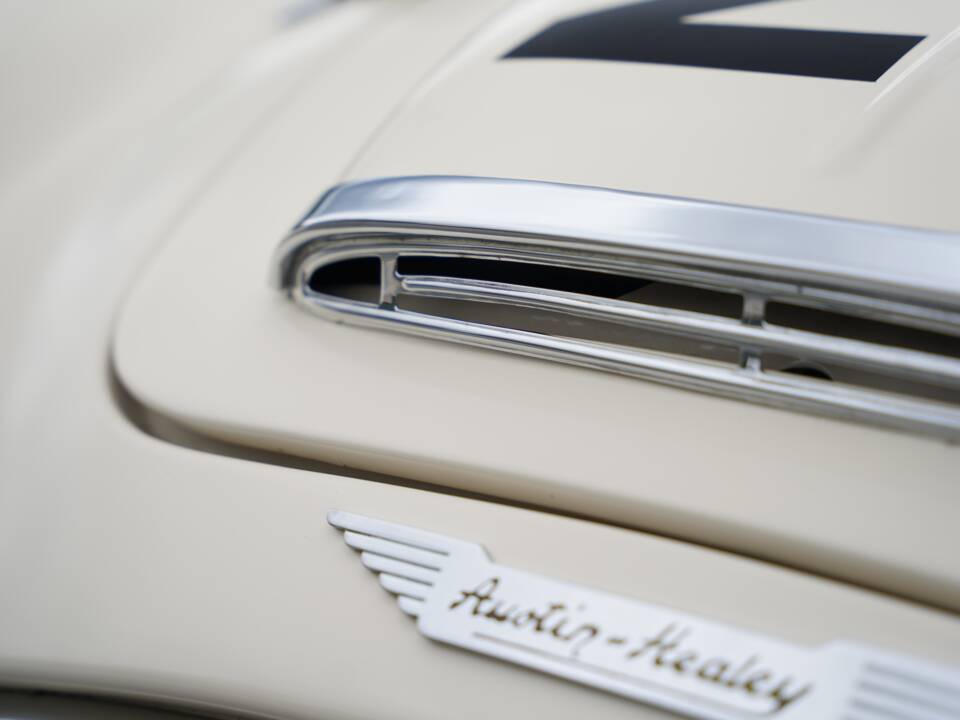 Image 39/50 of Austin-Healey 100&#x2F;6 (BN6) (1958)