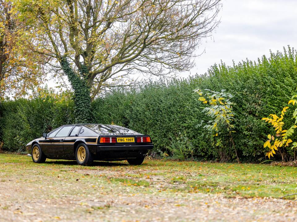 Immagine 11/50 di Lotus Esprit S2 (1979)