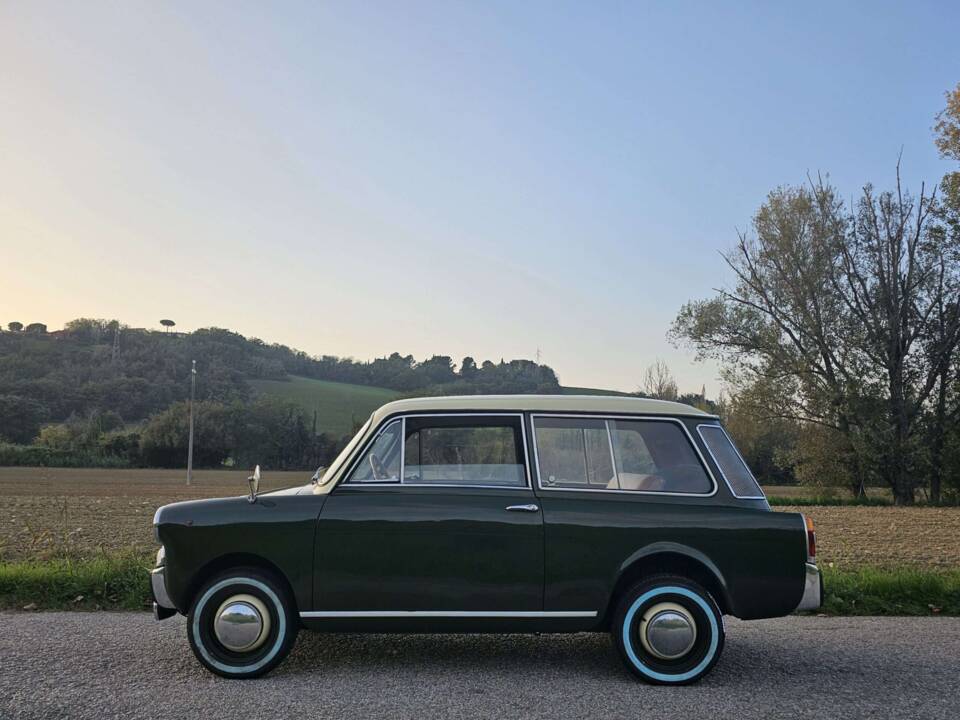 Bild 12/58 von Autobianchi Bianchina Panoramica (1969)