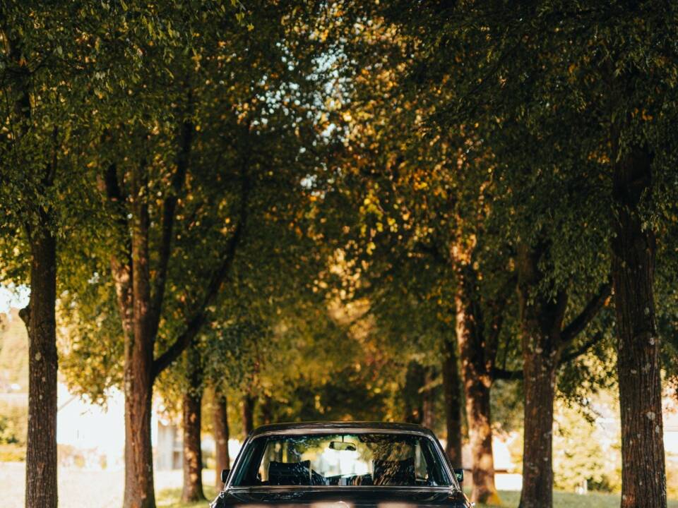 Afbeelding 9/16 van Mercedes-Benz 450 SEL 6,9 (1976)