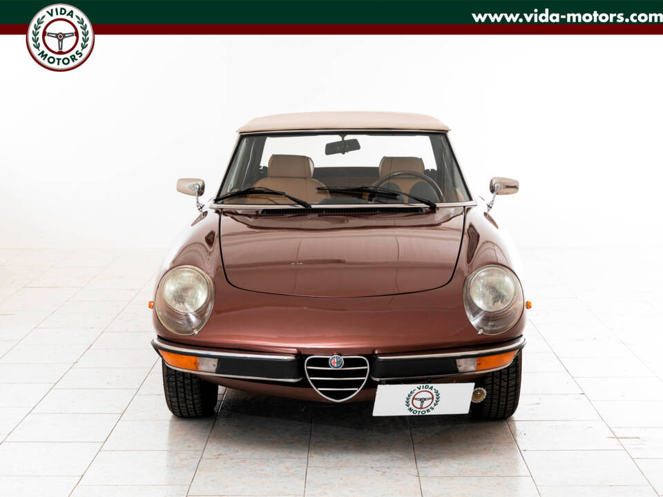 Bild 6/15 von Alfa Romeo 1600 Spider (1981)