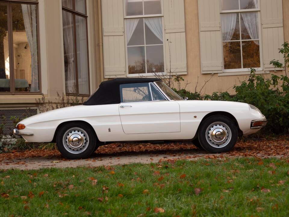 Image 5/50 de Alfa Romeo 1600 Spider Duetto (1967)