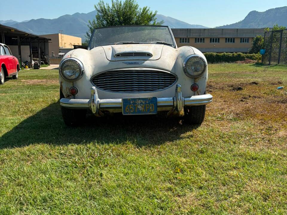 Bild 10/22 von Austin-Healey 3000 Mk II (BN7) (1960)