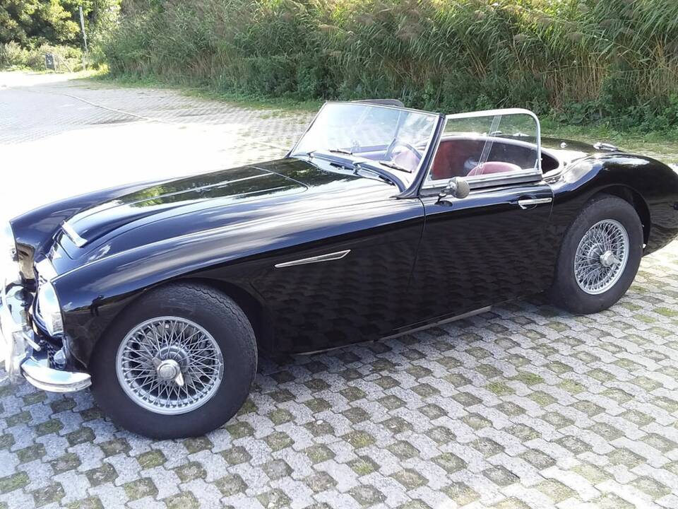 Imagen 1/8 de Austin-Healey 100/6 (BN6) (1958)