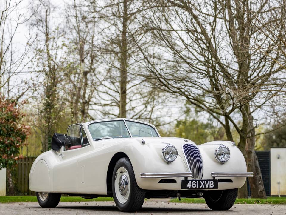 Image 29/50 of Jaguar XK 120 DHC (1953)