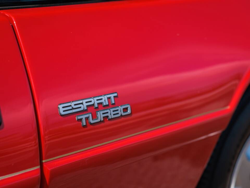 Afbeelding 17/47 van Lotus Esprit Turbo HC (1989)