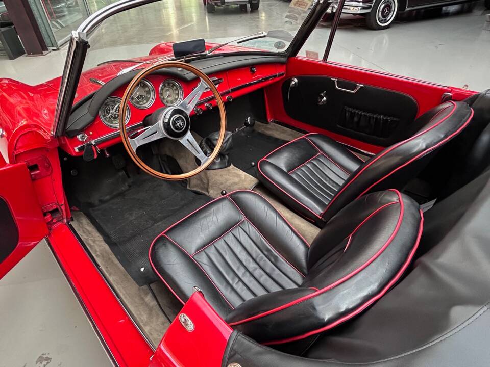 Image 13/35 of Alfa Romeo Giulietta Spider (1960)